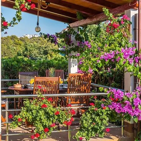 Sant'anna Holiday home *